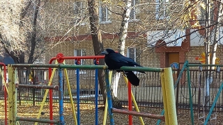 Саратовцев ждет воскресный дождь
