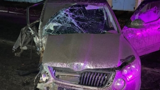 В Ртищеве "Шкода" врезалась в дерево. Госпитализирован пассажир