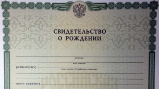 Женщина оформила маткапитал по поддельному свидетельству о рождении