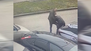 Житель Солнечного-2 избил женщину из-за "спора о воспитании детей". Видео