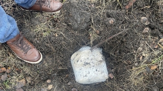 По пути из Подмосковья: саратовские полицейские нашли у иностранцев 5 кг наркотиков