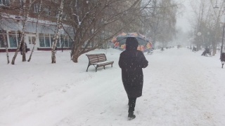 Последние выходные ноября: оттепель до +4°, мокрый снег, туман