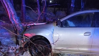 "Логан" затормозил в дерево. Пожилые пассажиры в больнице