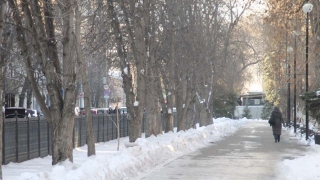Синоптики обещают саратовцам облачное воскресенье