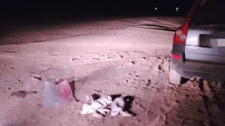 У охотника на зайцев изъяли ружье самарского полицейского