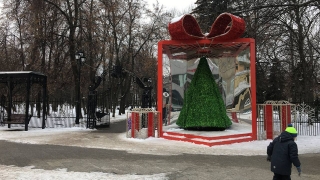 Синоптики о последнем дне года: дождь, плюс, ветер