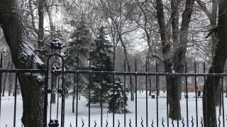 Саратовцев в четверг ждет резкое похолодание