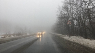 Дождь, гололедица и туман. ГИБДД призывает водителей снижать скорость