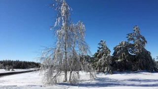 Саратовцам обещана приятная январская среда