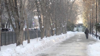 Синоптики обещают саратовцам пасмурный день