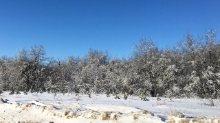 Саратовцев ждет облачное воскресенье
