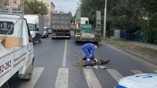 Смерть на переходе. Полиция ищет свидетелей гибели мужчины под колесами тягача
