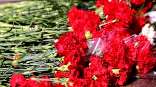 В зоне СВО погиб саратовец Данила Конищев