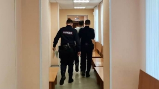 В Саратове отлавливали и стерилизовали "виртуальных" собак. Арестованы три человека