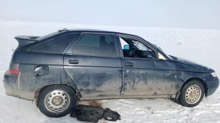 В слетевшей в кювет машине пострадала пассажирка
