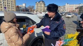 "Цветочный патруль" на улицах Саратова возглавил начальник городской ГИБДД