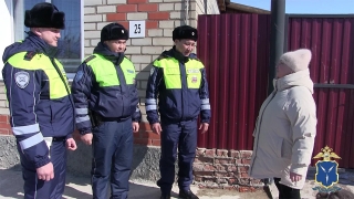 Саратовские инспекторы ДПС помогли тушить пожар и спасли свиней с поросятами