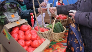 Саратовцев приглашают за продуктами на Театральную площадь