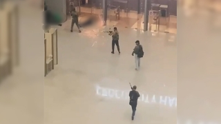 Теракт в "Крокусе". Читатели выступили за ужесточение миграционных законов и напомнили о коррупции