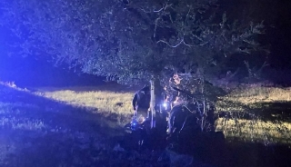 Под Балаковом молодые люди на "десятке" врезались в дерево. Двое погибли