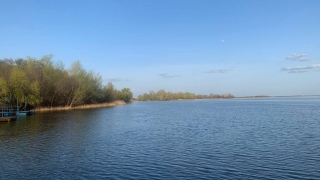 Саратовцев ждет солнечный понедельник