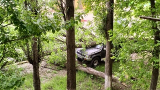 В Балашове дерево придавило внедорожник