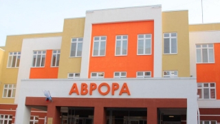Собаки у "Авроры". После нападения на детей следователи завели дело о халатности