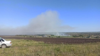 В Калининске неизвестные подожгли поля. Жителям напомнили об особом режиме