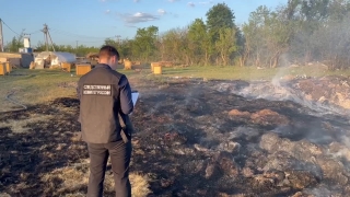 В Саратове на пожаре в приюте пострадали две женщины и погибли десятки собак