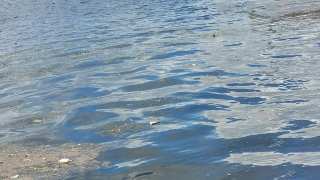 Водолазы вытащили из Терсы тело молодого мужчины