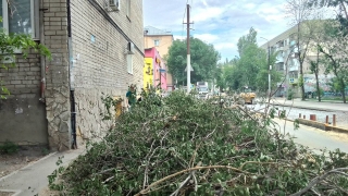 В центре Саратова дорогу раскопали, а тротуар завалили ветками