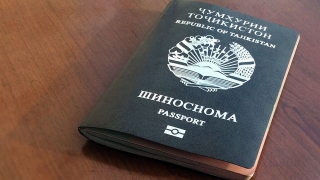 Доллары и сомони. Задержанную на границе в Озинках мошенницу вернут в Таджикистан