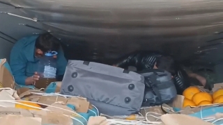 В Саратовскую область пытались ввезти незаконных мигрантов под видом дынь
