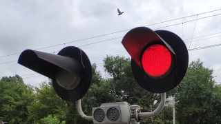 В Саратове на несколько часов закроют два железнодорожных переезда