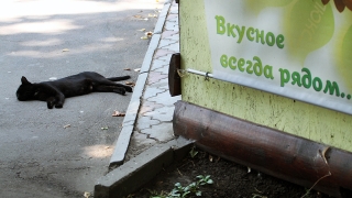 Саратовцев ждет теплое завершение лета