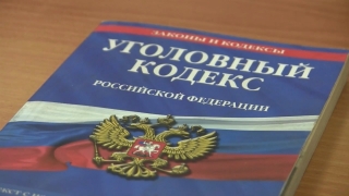 Мать отработает 1,2 млн рублей долга по алиментам
