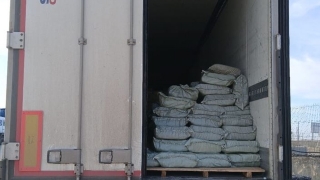 В Саратовской области через госграницу не пропустили 20 тонн лещей