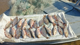 У саратовских рыбаков изъяли 27 лодок и полтора километра сетей