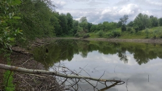 Жители саратовских сел боятся исчезновения пруда