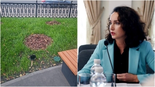 Глава района забила тревогу из-за пропавшего в сквере Первой учительницы куста