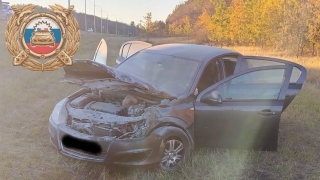 Под Балашовом в слетевшей с дороги машине пострадала девушка