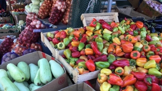 На Театральной площади открылась ежедневная ярмарка