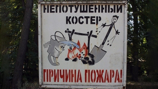 Угроза пожаров. Саратовцам продлили запрет на посещение леса