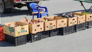 Саратовцев приглашают на Театральную площадь на ярмарку