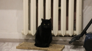 Чиновники определились с датой начала отопсезона в Энгельсе