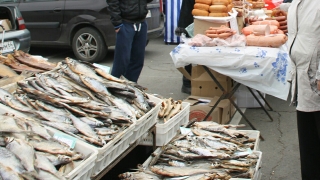 Саратовцев вновь приглашают на Театральную площадь за рыбой и ягодой