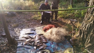 У саратовских браконьеров изъяли 800 метров сетей