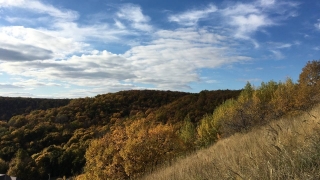 Саратовцам разрешили посещать леса