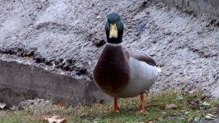 Читатели назвали любимые места отдыха в Саратове и области