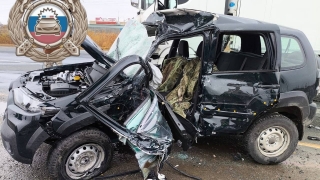 На саратовской трассе в столкновении с фурой погиб водитель "Нивы"